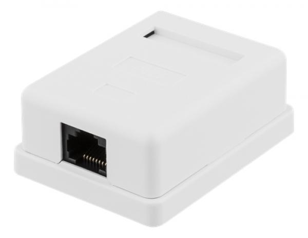 DELTACO suojaamaton datarasia pinta-asennukseen, UTP, RJ45, Cat6, valkoinen
